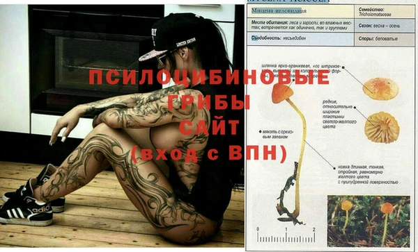 кристаллы Лиски